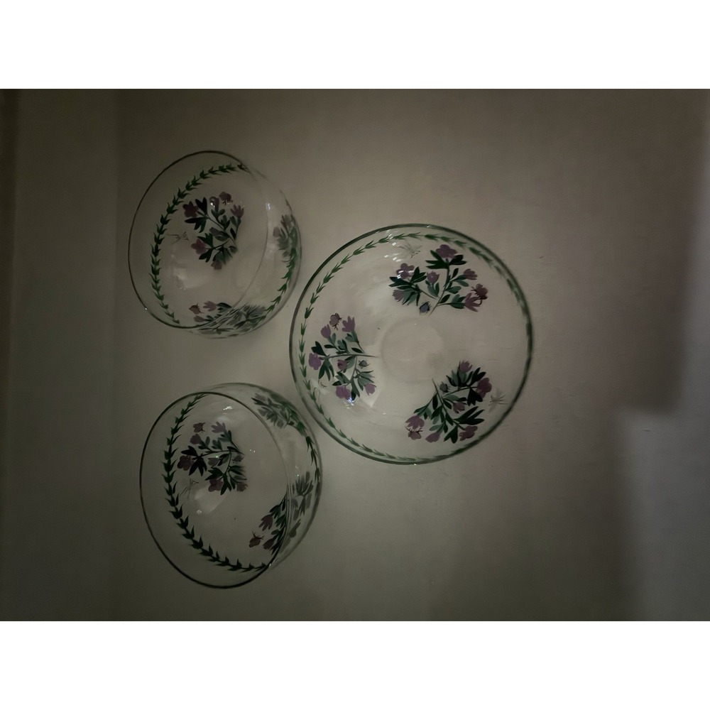 3 PORTMEIRION BOTANIC GARDEN GLASS BOWLS HAND PAINTED Dragonflies Flowers EUC